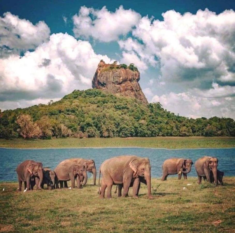 Golden Villa Kandy - "Free Pickup From Kandy " المظهر الخارجي الصورة